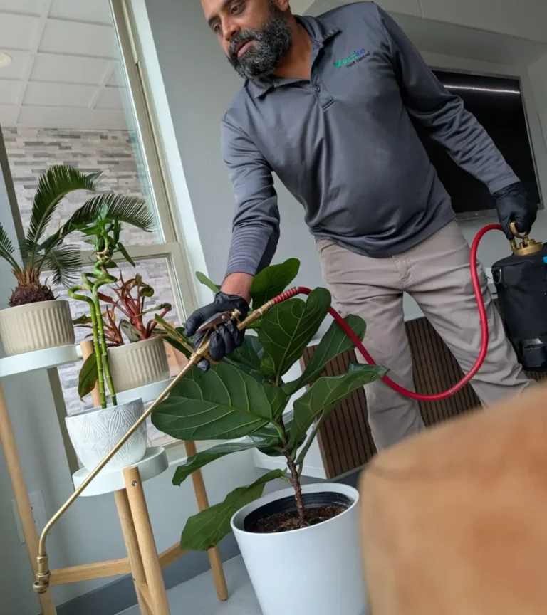 exterminator near me , pest control near me