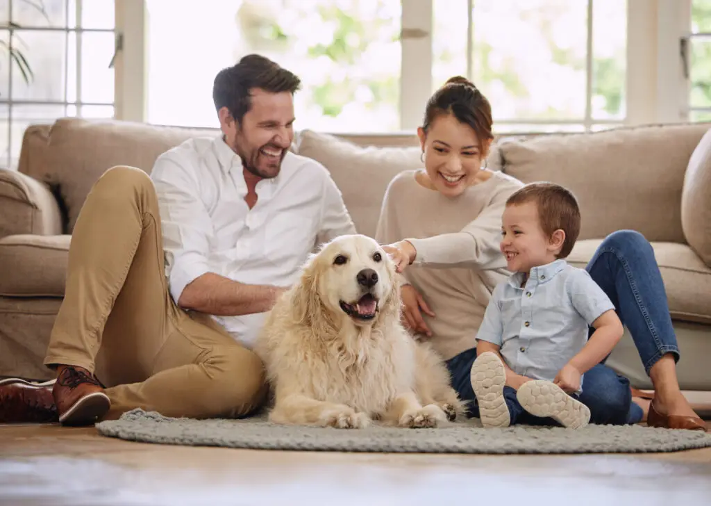 pest control company