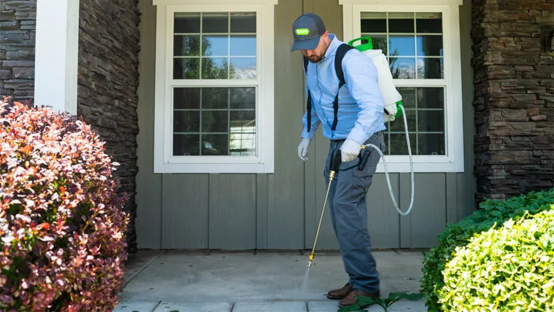 Van Alstyne TX Pest Control